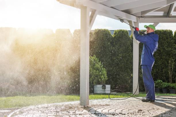 Best Patio and Deck Pressure Washing  in Oakland, MD