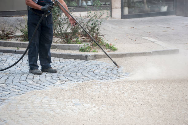 Best Sidewalk and Walkway Cleaning  in Oakland, MD
